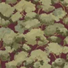green botanical wallpaper from caselio
