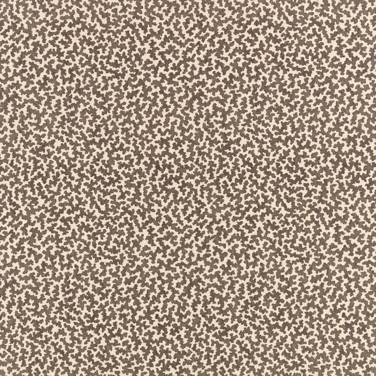 Junie Fabric - Chia by brown misc cotton fabric from Romo