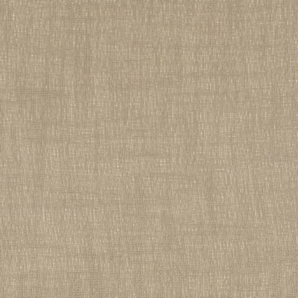 Eole Fabric - Ficelle by neutral plain voile-sheer fabric from Camengo