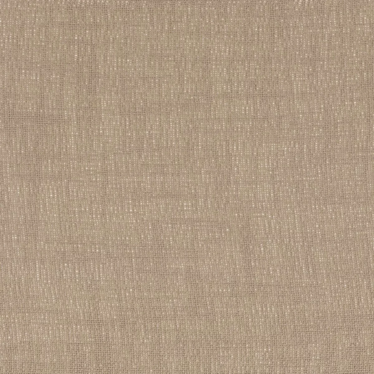 Eole Fabric - Café Latte by brown plain voile-sheer fabric from Camengo