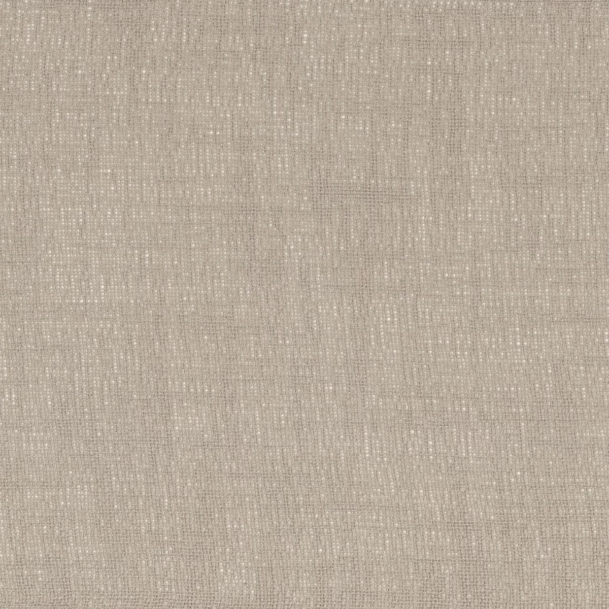Eole Fabric - Taupe by neutral plain voile-sheer fabric from Camengo