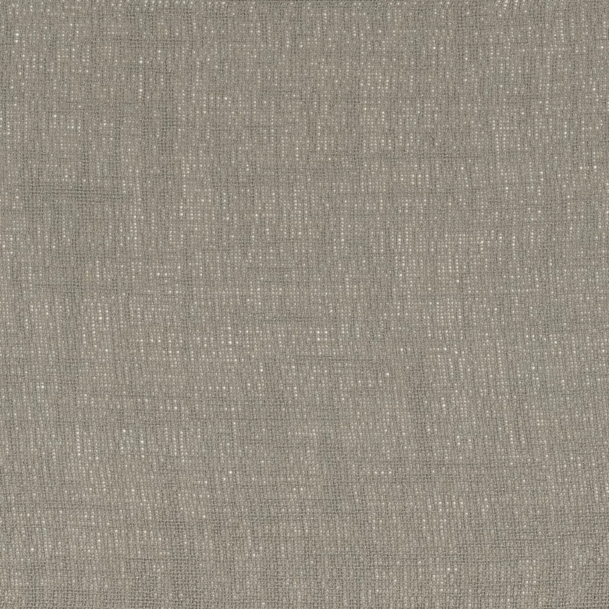 Eole Fabric - Elephant by black-grey plain voile-sheer fabric from Camengo