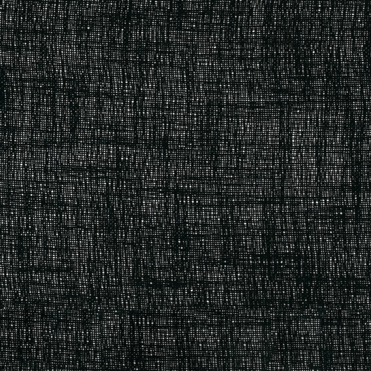 Eole Fabric - Carbone by black-grey plain voile-sheer fabric from Camengo