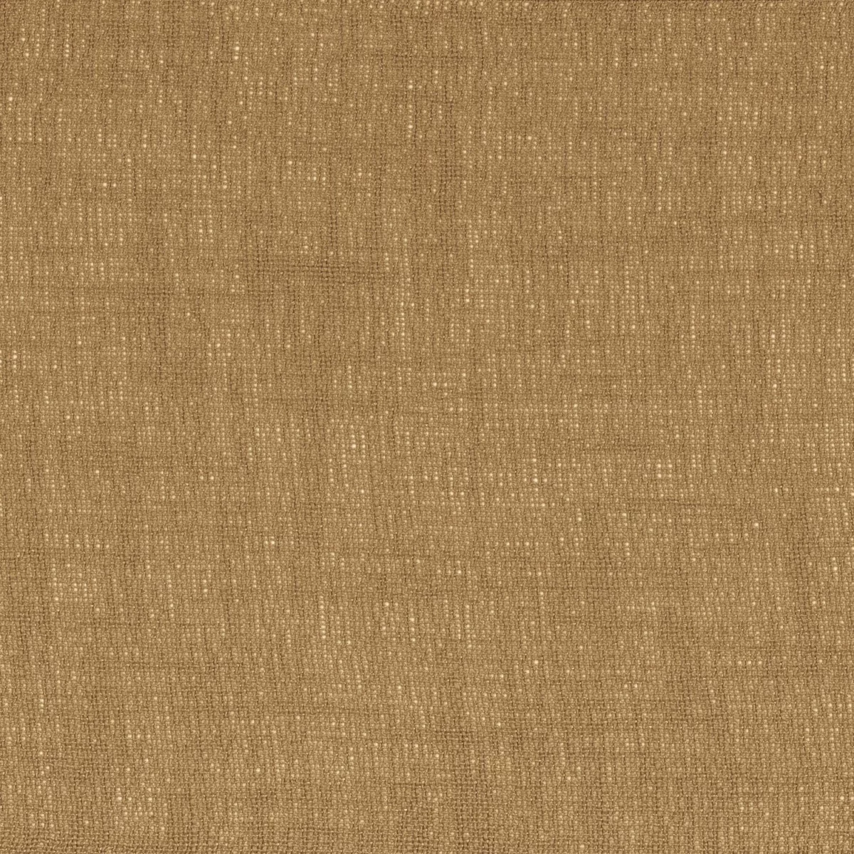 Eole Fabric - Miel by brown plain voile-sheer fabric from Camengo