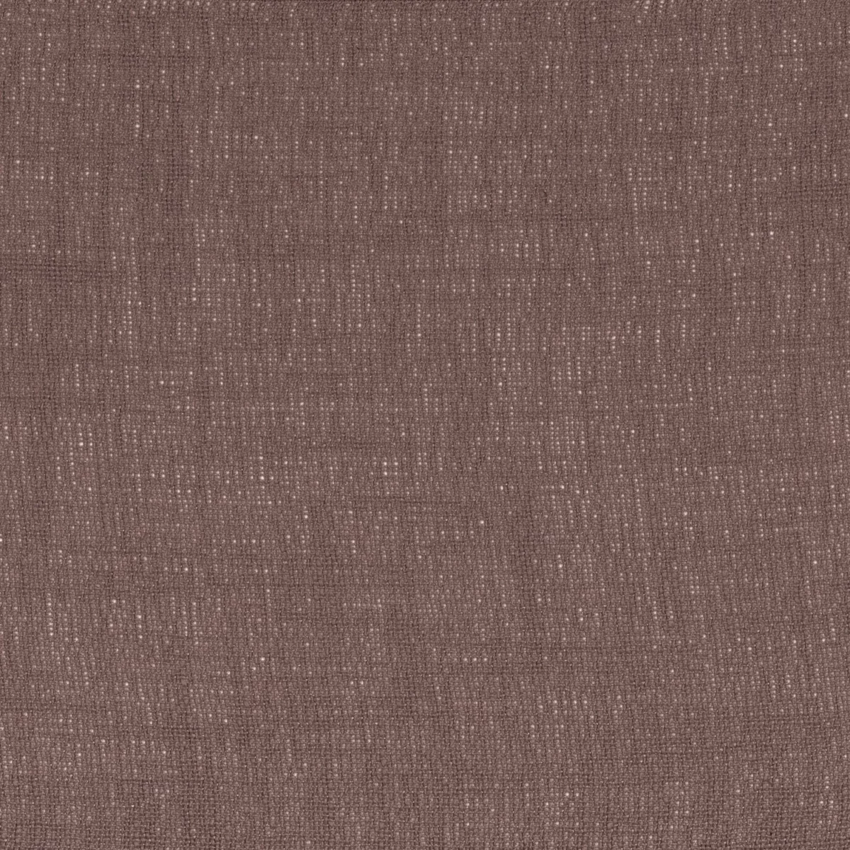 brown plain voile-sheer fabric from Camengo