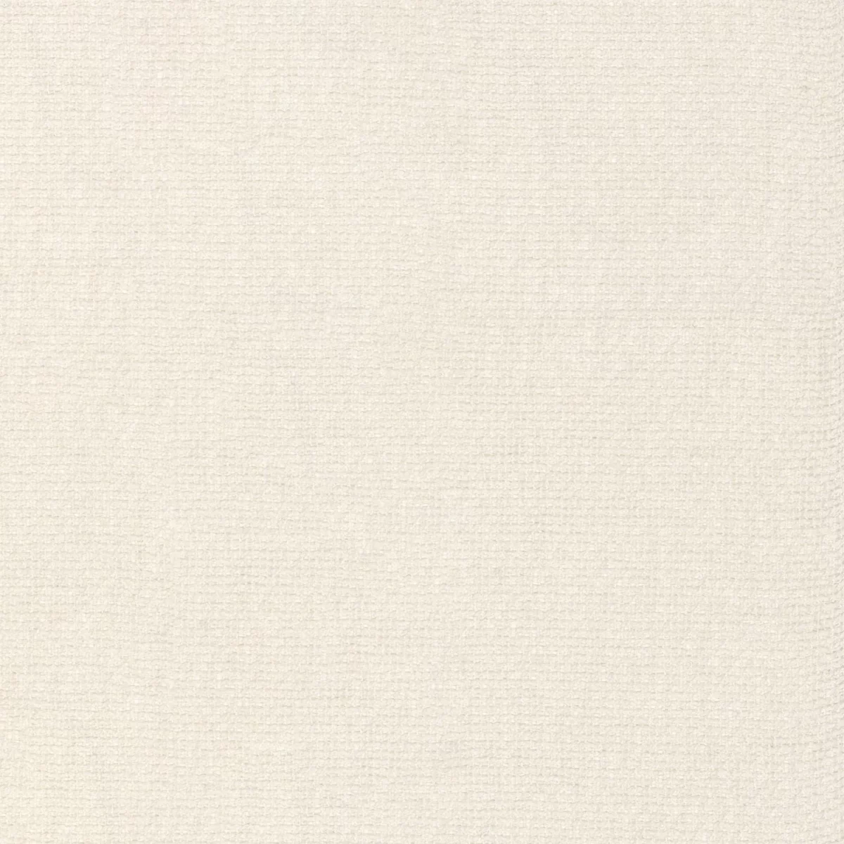 Scirion Fabric - Lait by white plain voile-sheer fabric from Camengo