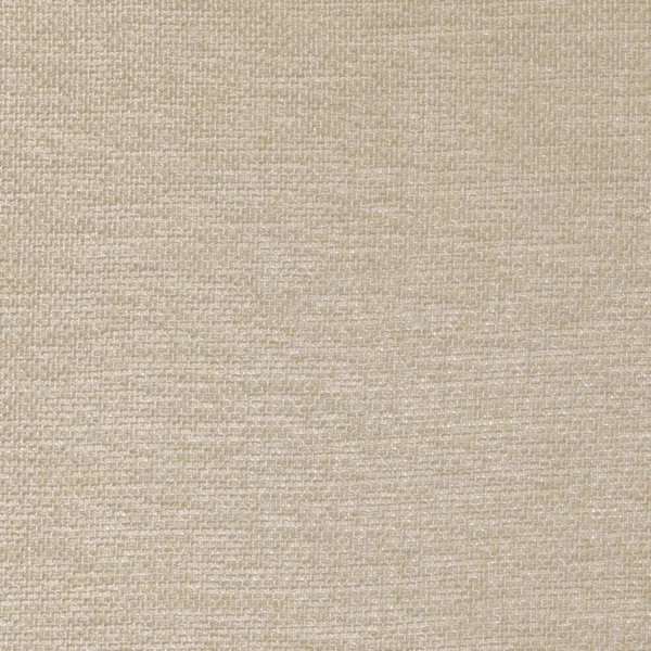 Scirion Fabric - Ficelle by neutral plain voile-sheer fabric from Camengo