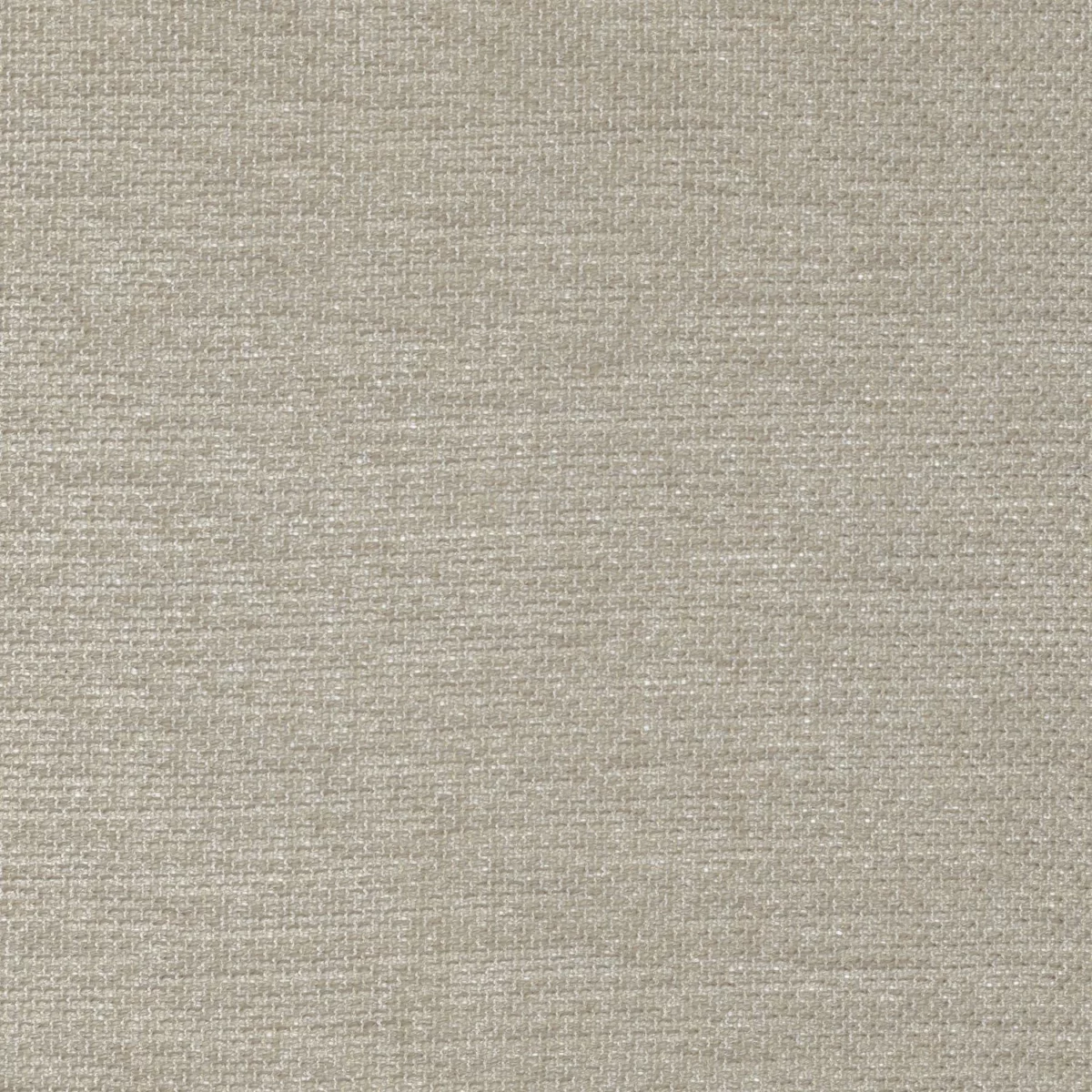 Scirion Fabric - Chamois by black-grey plain voile-sheer fabric from Camengo
