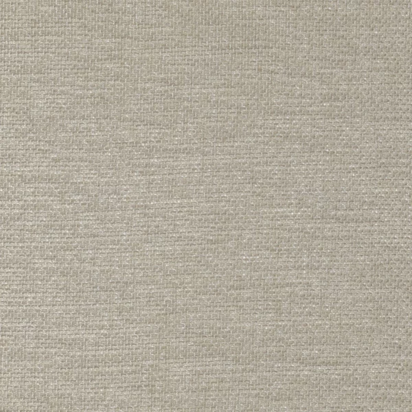 Scirion Fabric - Chamois by black-grey plain voile-sheer fabric from Camengo