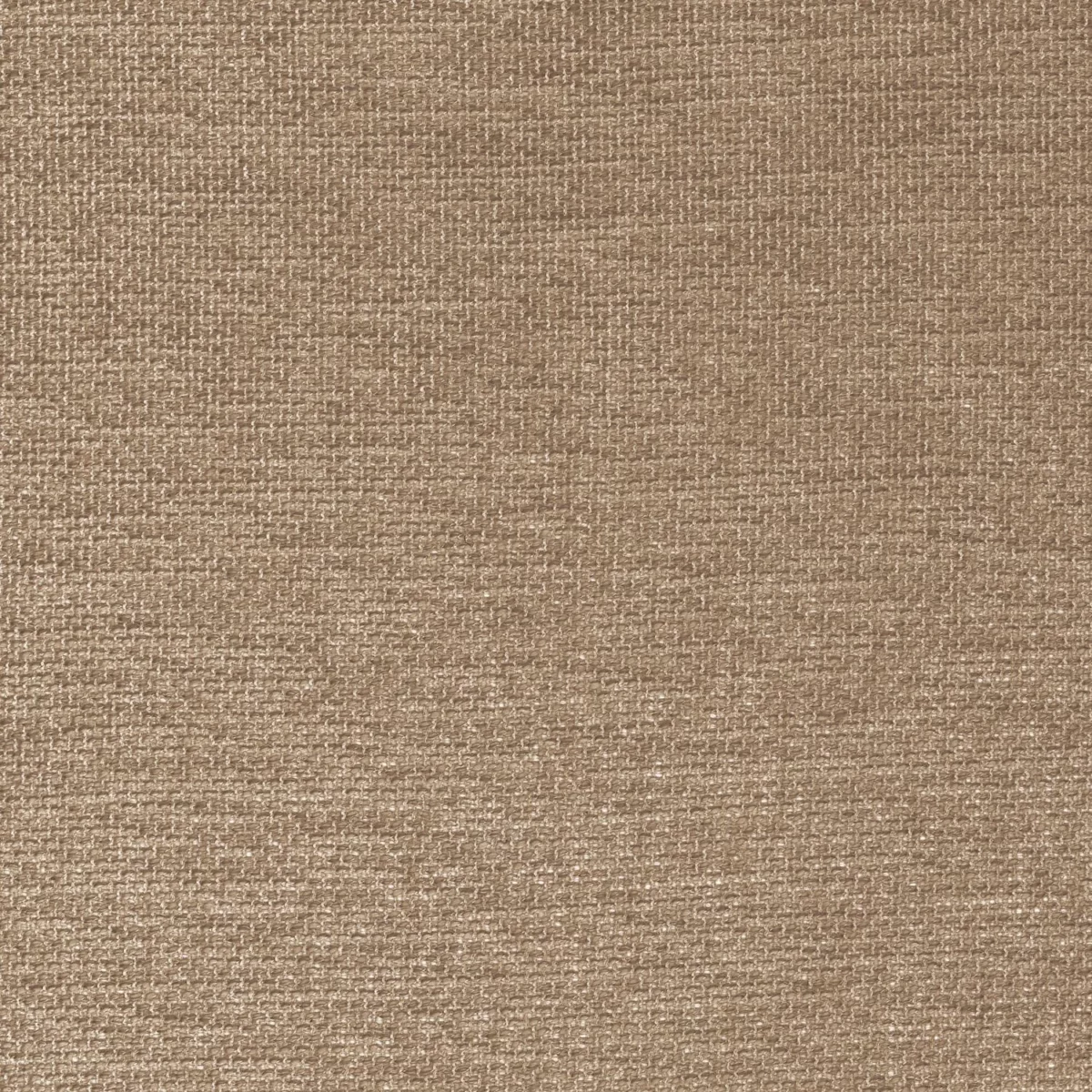 Scirion Fabric - Chataigne by brown plain voile-sheer fabric from Camengo