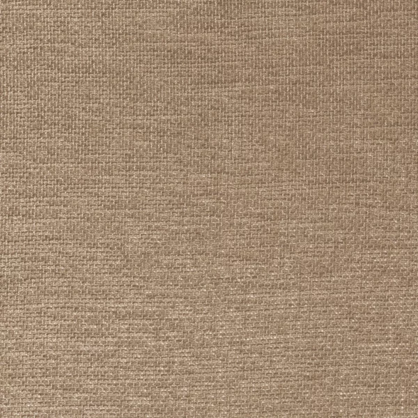 Scirion Fabric - Chataigne by brown plain voile-sheer fabric from Camengo