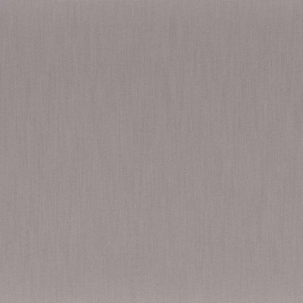Anemone Fabric - Ardoise by black-grey plain misc fabric from Camengo