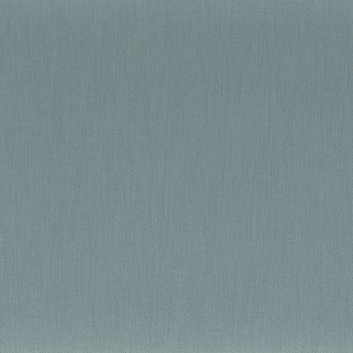 Anemone Fabric - Givre by blue plain misc fabric from Camengo