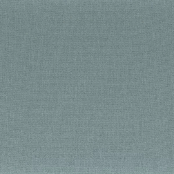 Anemone Fabric - Givre by blue plain misc fabric from Camengo