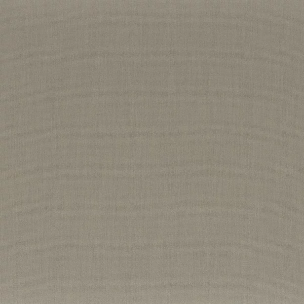 Anemone Fabric - Argile by black-grey plain misc fabric from Camengo