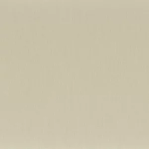 green plain misc fabric from Camengo