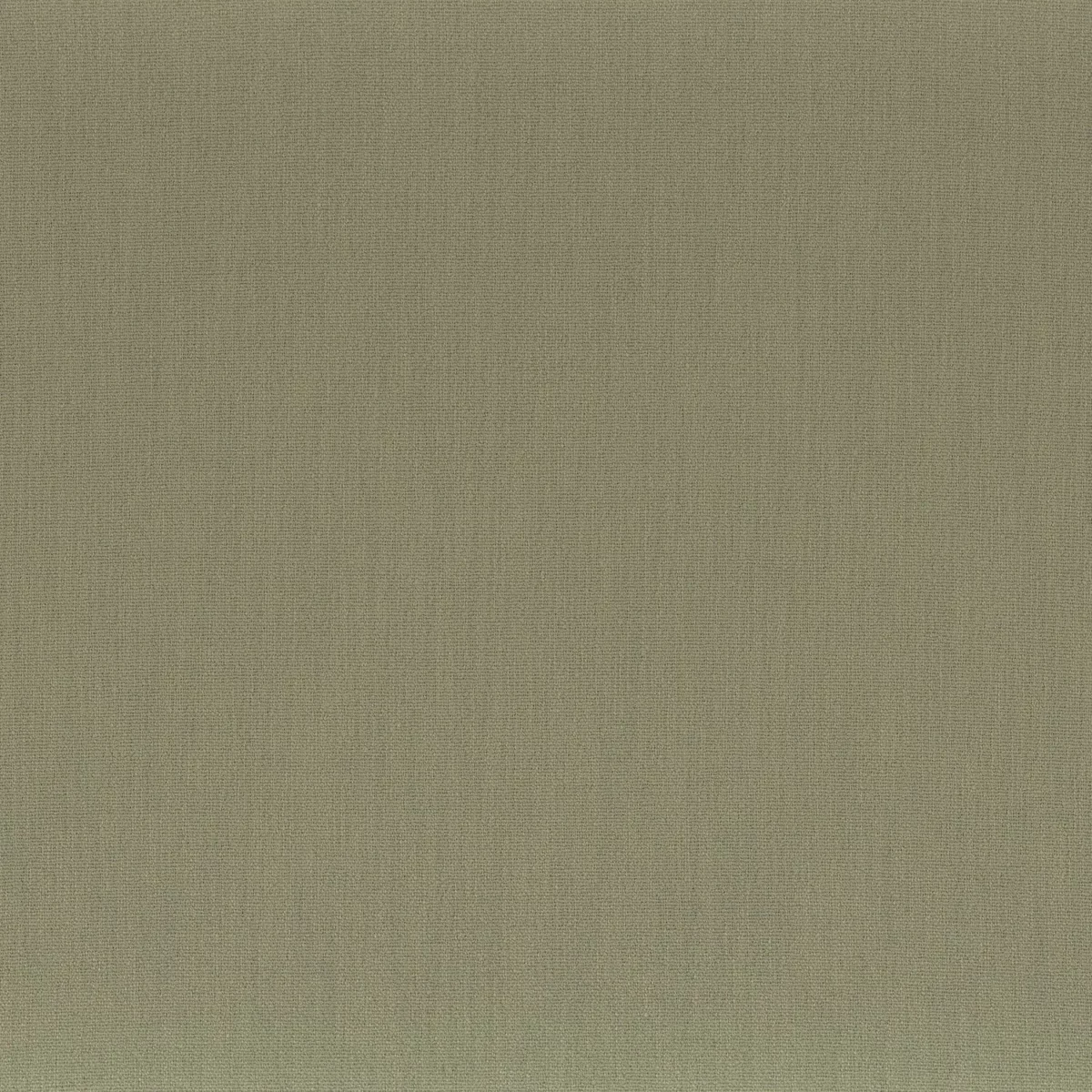 Anemone Fabric - Kaki by green plain misc fabric from Camengo
