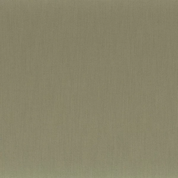 Anemone Fabric - Kaki by green plain misc fabric from Camengo