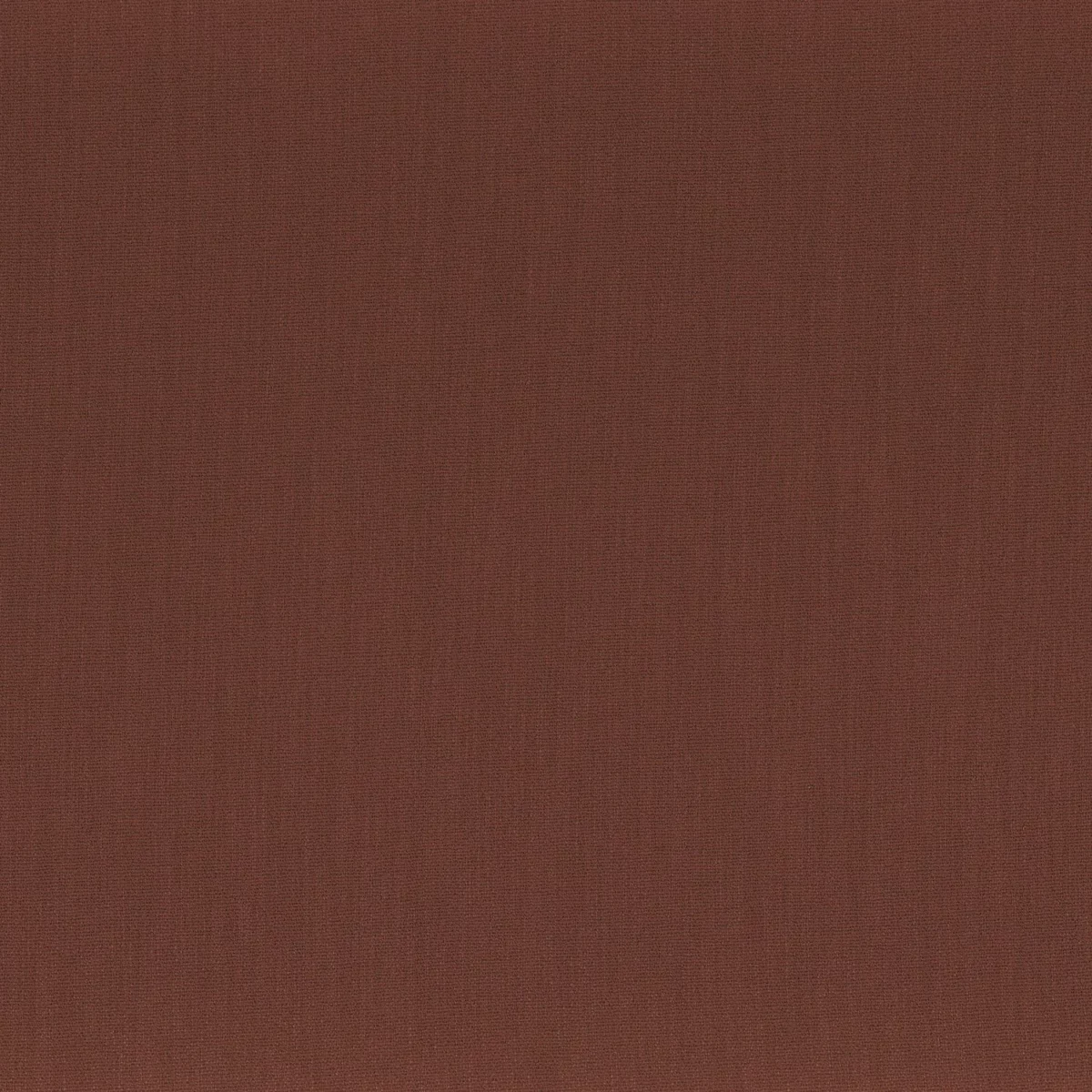 Anemone Fabric - Ambre Rouge by brown plain misc fabric from Camengo