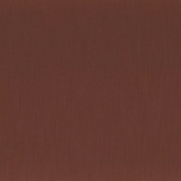 Anemone Fabric - Ambre Rouge by brown plain misc fabric from Camengo