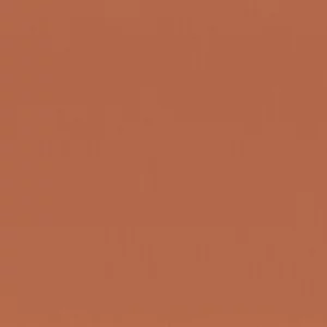 orange plain misc fabric from Camengo