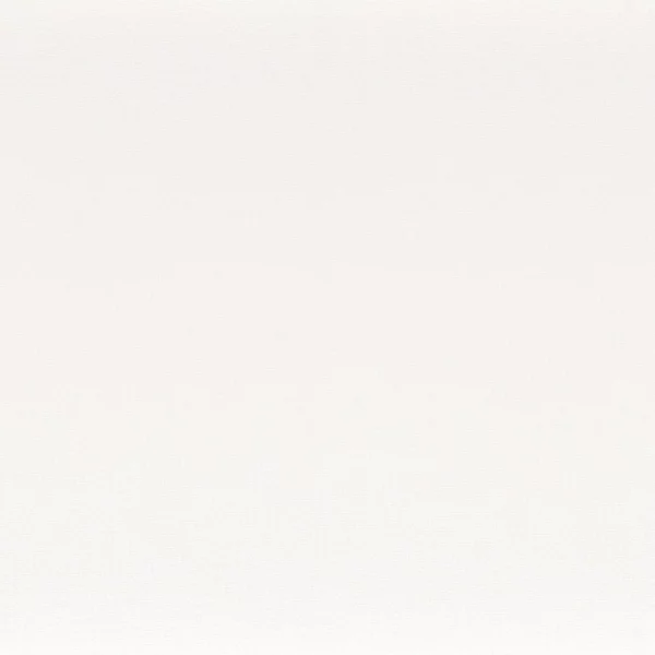 Anemone Fabric - Neige by white plain misc fabric from Camengo