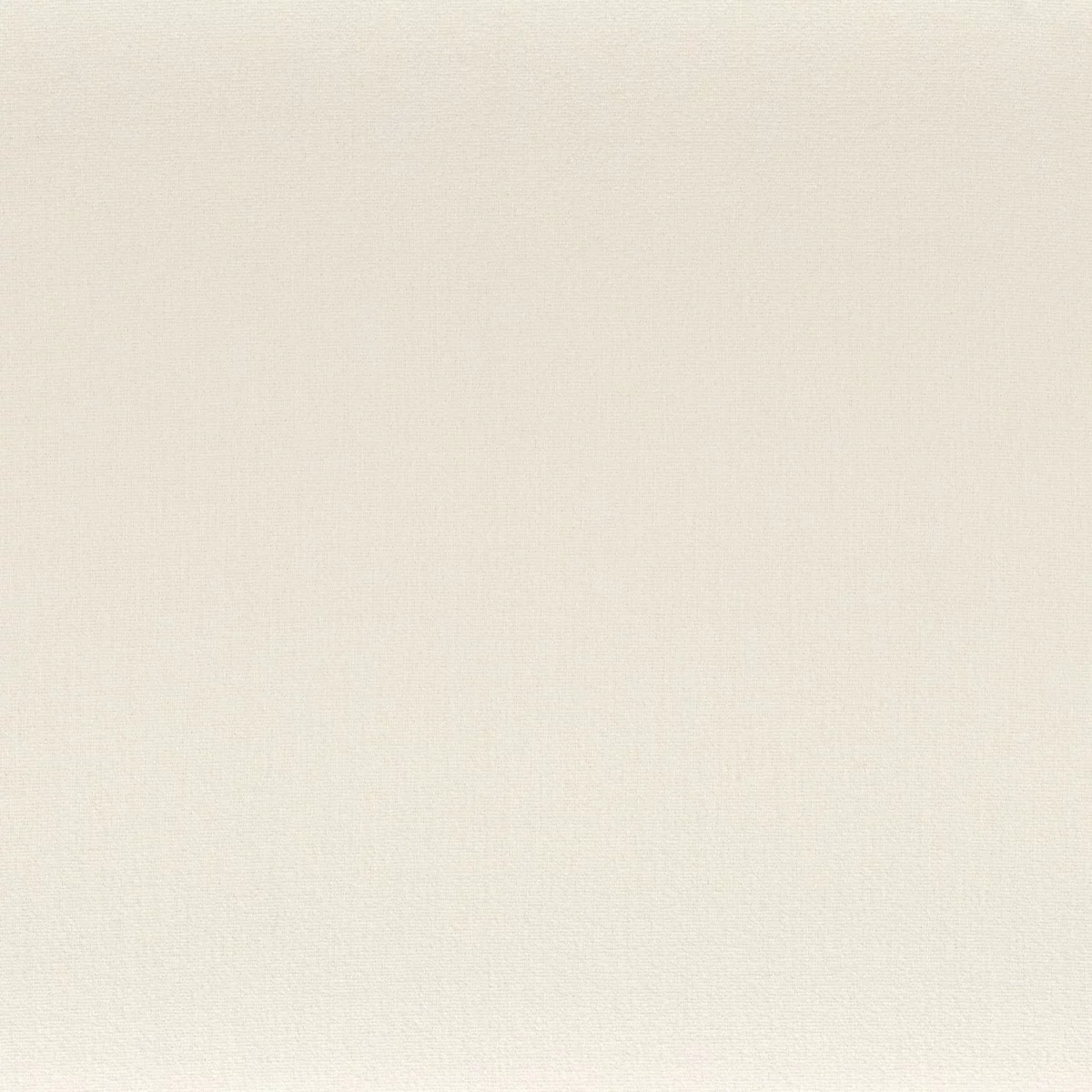 Anemone Fabric - Ecru by white plain misc fabric from Camengo