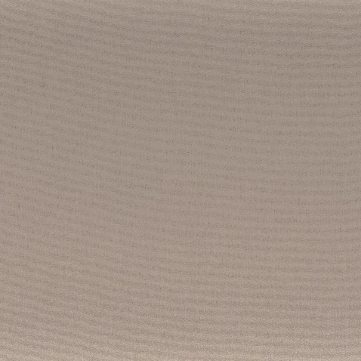 Anemone Fabric - Ficelle by brown plain misc fabric from Camengo