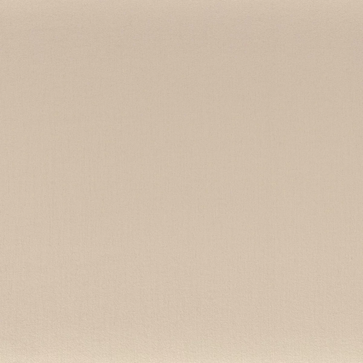 neutral plain misc fabric from Camengo