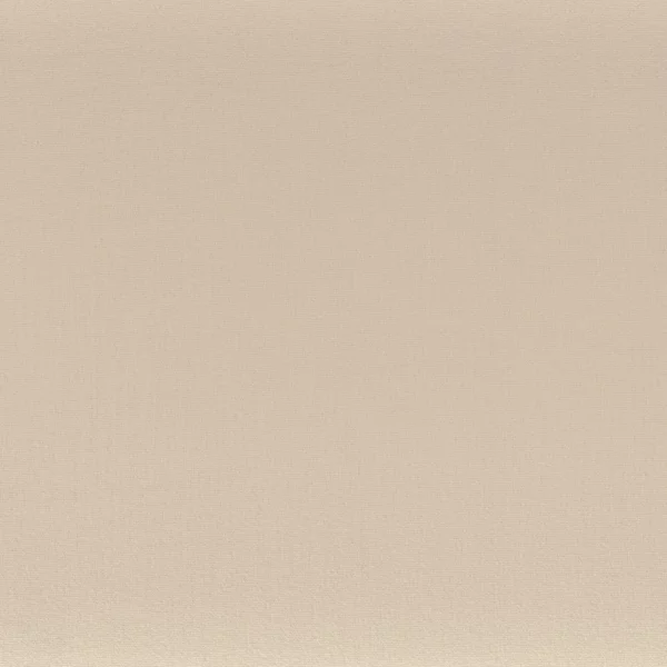Anemone Fabric - Cafe Latte by neutral plain misc fabric from Camengo
