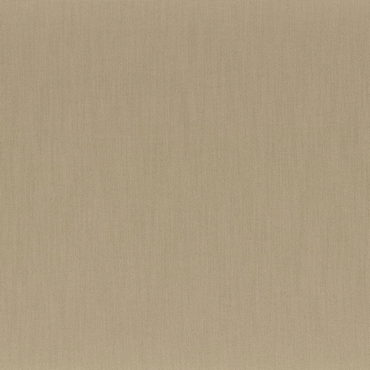 brown plain misc fabric from Camengo