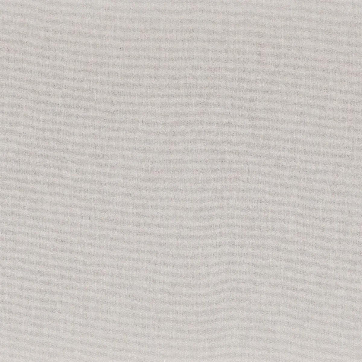 Anemone Fabric - Souris by black-grey plain misc fabric from Camengo
