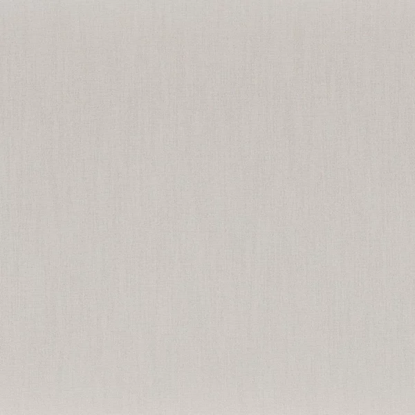Anemone Fabric - Souris by black-grey plain misc fabric from Camengo