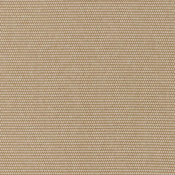 Juno Fabric - Autumn by brown plain woven fabric from Ashley Wilde