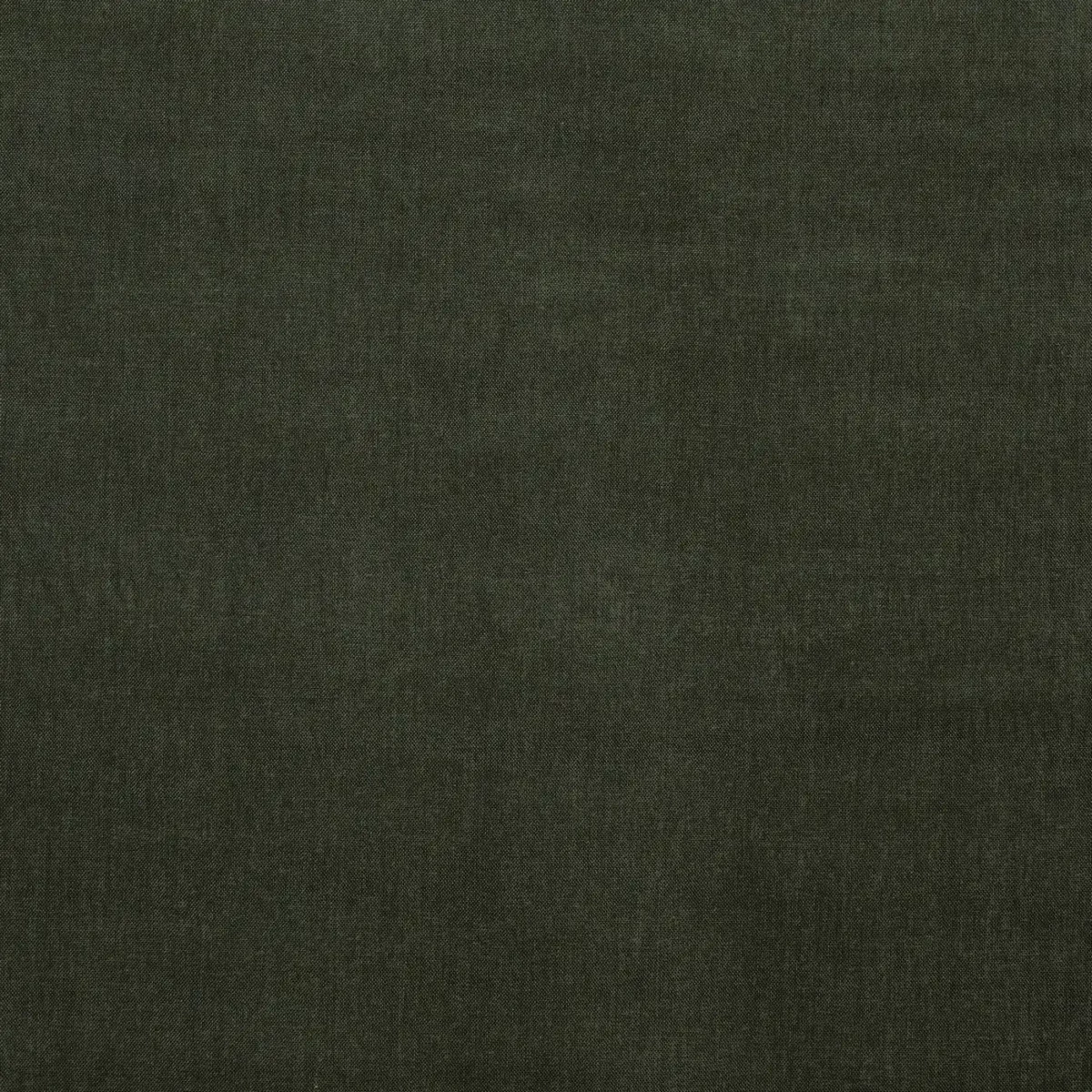 Burton Fabric - Pine by green plain velvet-chenille fabric from Prestigious Textiles