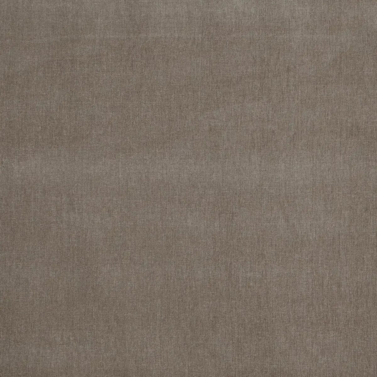 brown plain velvet-chenille fabric from Prestigious Textiles