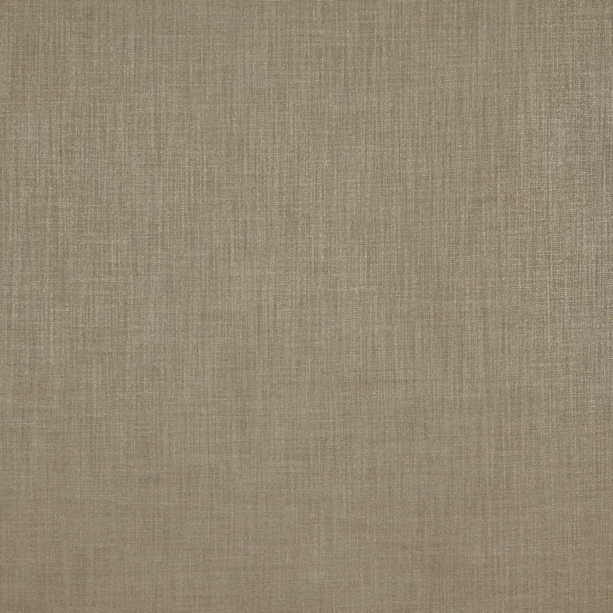 Jaxon Fabric - Ecru by black-grey plain woven fabric from Prestigious Textiles