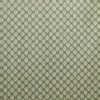 green misc printed fabric from Prestigious Textiles