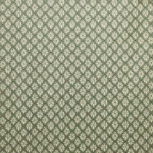 green misc printed fabric from Prestigious Textiles