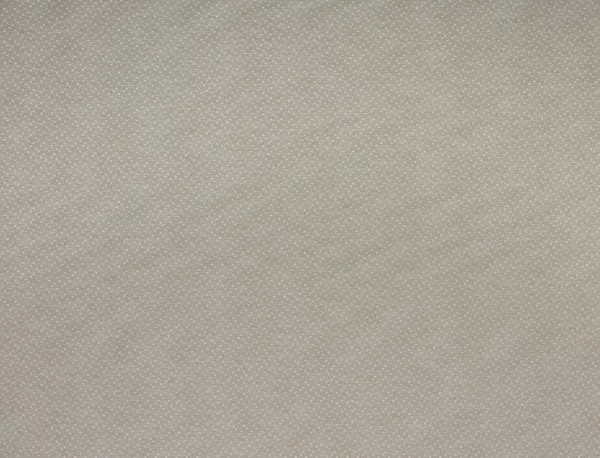 neutral plain woven fabric from Kai