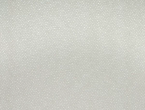 Esket Fabric - Oatmeal by white plain woven fabric from Kai