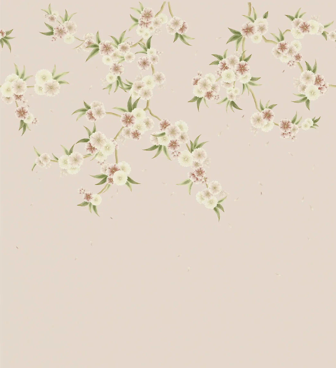 Rosa Wallpaper - Blush Pearl / Peony / Meadow by pink botanical wallpaper from harlequin x diane hill