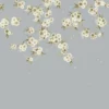 black-grey botanical wallpaper from harlequin x diane hill