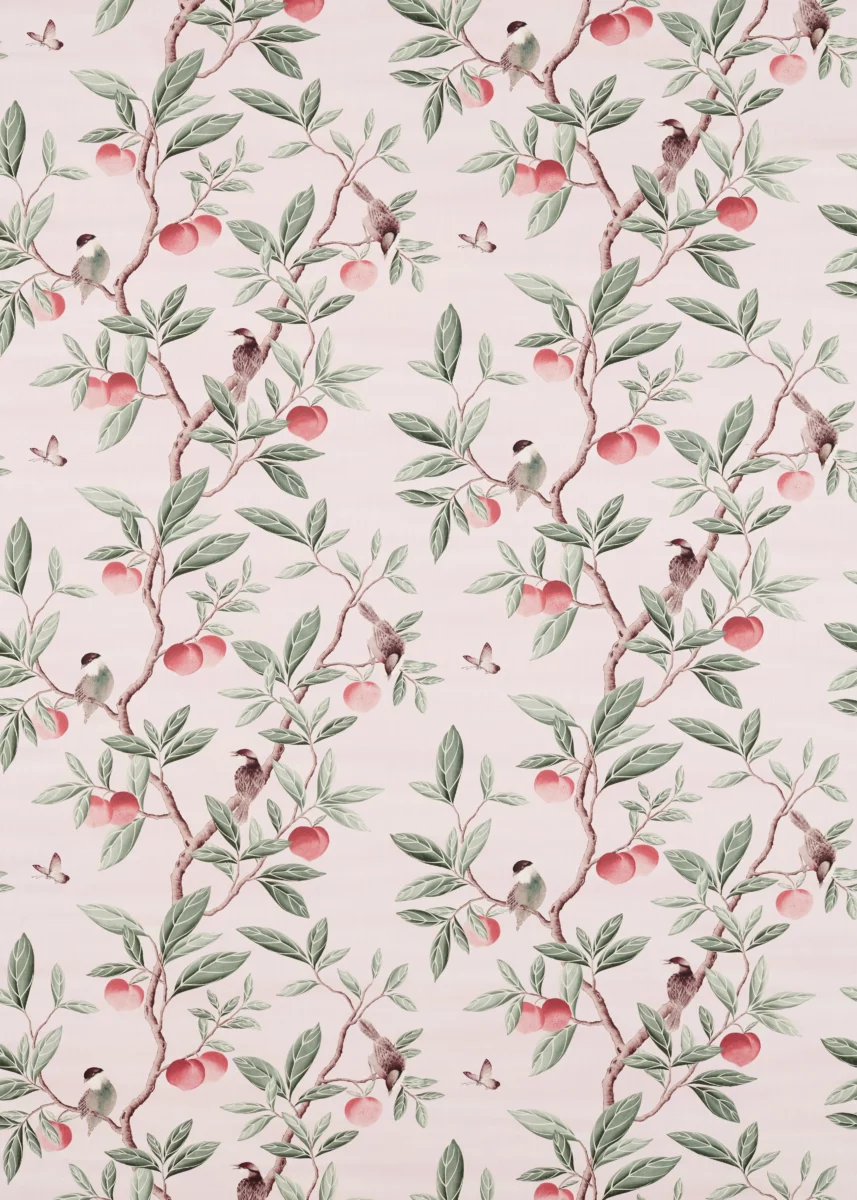 Ella Fabric - Powder / Sage / Peach by pink botanical cotton fabric from Harlequin x Diane Hill