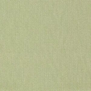 green striped cotton fabric from Harlequin
