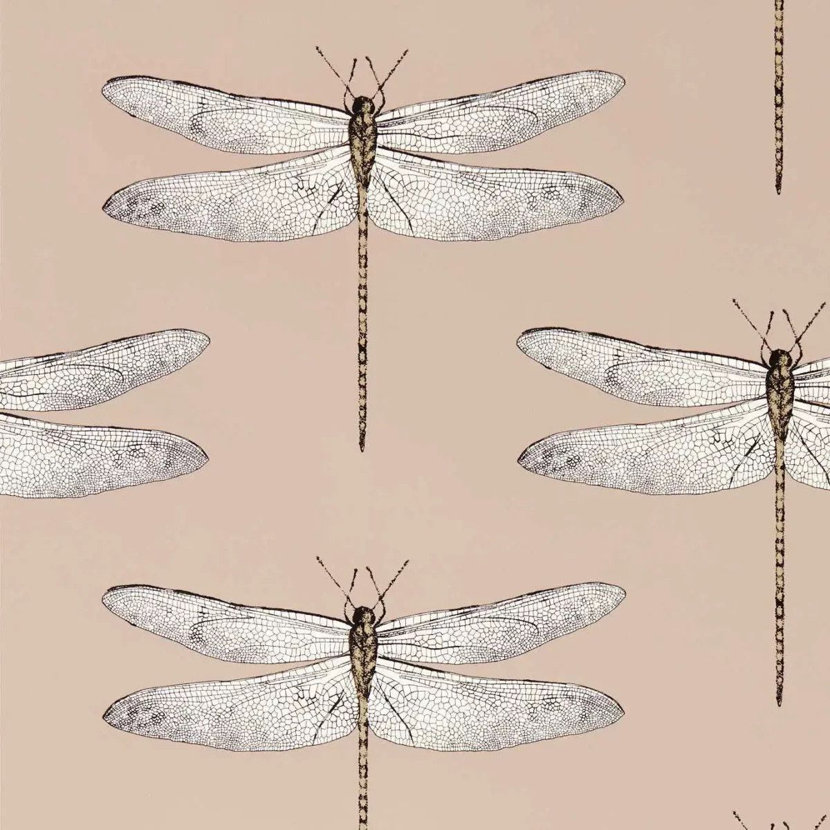 Demoiselle Wallcovering - Positano / First Light / Taupe by neutral animal wallpaper from harlequin