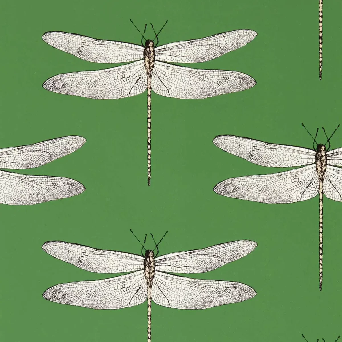 Demoiselle Wallcovering - Kelly / First Light / Blush by green animal wallpaper from harlequin