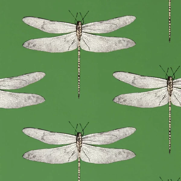 Demoiselle Wallcovering - Kelly / First Light / Blush by green animal wallpaper from harlequin