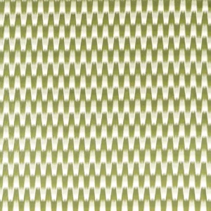 green striped embroideried fabric from Harlequin