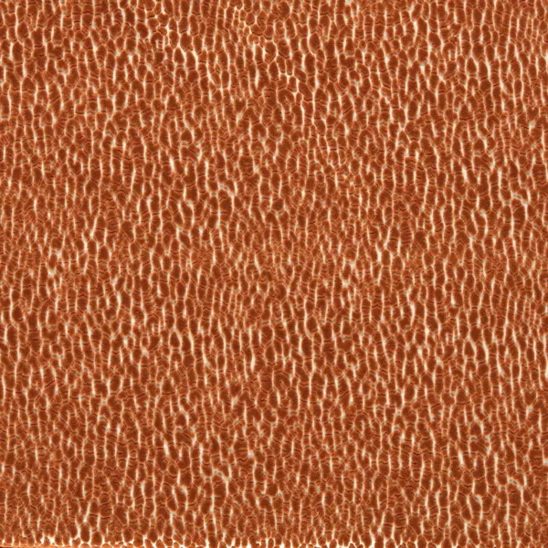 Lacuna Fabric - Tiger by orange animal velvet-chenille fabric from Harlequin
